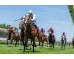  Carrera: P.Teresa Monta: V.Janacek Caballo: Making Time